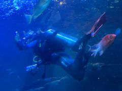 -太平洋海底世界