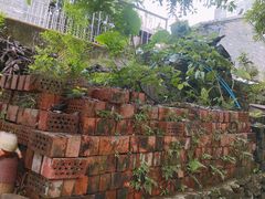 -扬美古镇景区