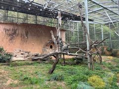 -宁波野生动物园
