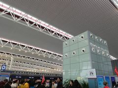 -合肥新桥国际机场-航站楼