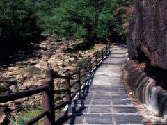 -广州白江湖森林公园