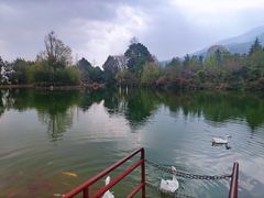 -蝴蝶泉公园
