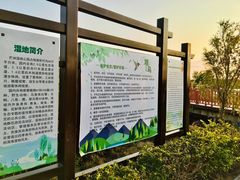 -芒洲湿地公园
