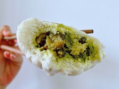 松月楼净素菜包-春风松月楼(七宝万科店)