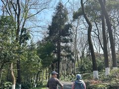 -西湖风景区十里琅珰-五云山