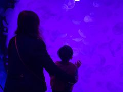 -沈阳海洋探索中心