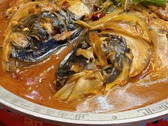 红焖南湾大鱼头-解家河南菜(商鼎路店)