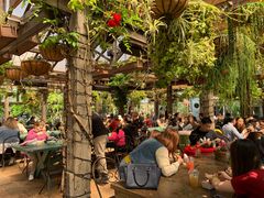 -The Grounds of Alexandria