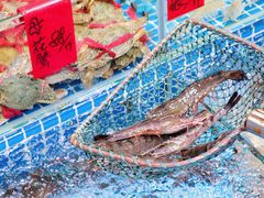 -滑记海鲜饭店·老字号(海鲜街店)