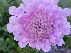 -上海植物园-4号门售票处