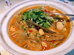 千岛湖有机胖头鱼-魏铭鱼头捞饭(晋阳路店)