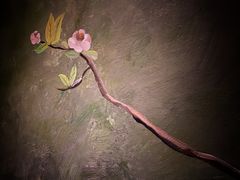 -格兰酒吧Glen Bar