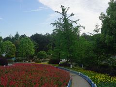 -铁山坪森林公园