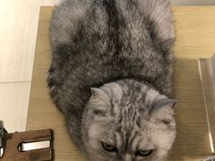 -Oasis绿洲银饰珍珠手作diy(壹方城店)