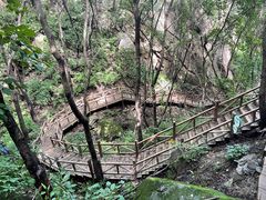-大岭沟猕猴桃谷风景区
