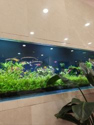 -臻悦医疗美容整形门诊部