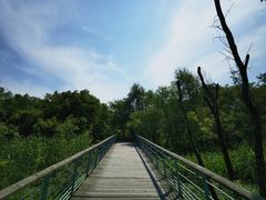 -西湖风景区-江洋畈生态公园