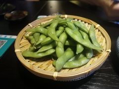 -春草居酒屋·晴子の店