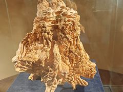 -香市公园-中国沉香文化博物馆