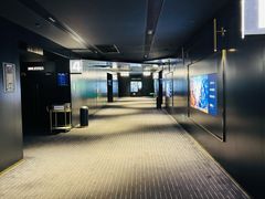 -奥斯卡升龙国际影城(RealD Cinema)