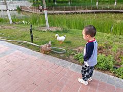 -雁滩公园