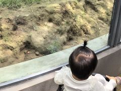 -青藏高原野生动物园