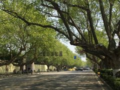 -南京圣和府邸豪华精选酒店