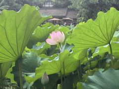 -莫催咖啡