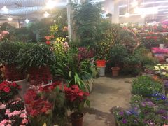 -双季花艺园艺市场(浦东店)