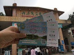 -广东茂名森林公园