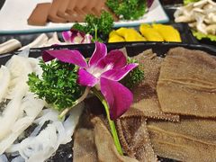 -十三幺山野火锅(市府路店)