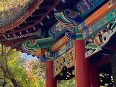 -北山公园