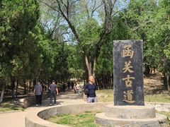 -函谷关历史文化旅游区