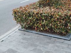 -瑞幸咖啡（宁波财经学院杭州湾店(校内店)