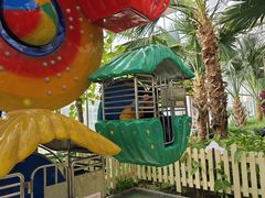 -南宫五洲植物乐园