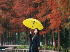 -重庆彩云湖湿地公园
