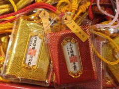 -武汉长春观