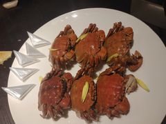 -甄御•海鲜新青岛菜(麦岛店)