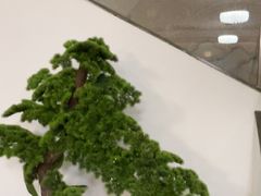 -大鸿运酒店·苏州菜·松鼠桂鱼(观前街店)