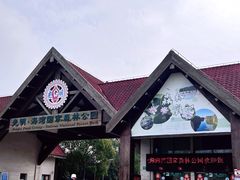 -上海海湾国家森林公园