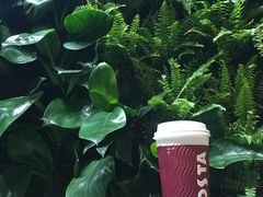 -COSTA COFFEE(成都来福士店)