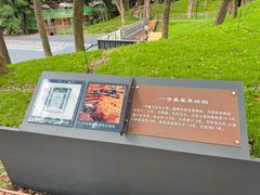 -马王堆汉墓遗址