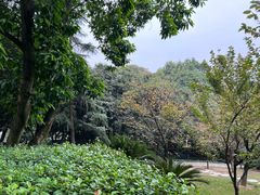 -南山植物园