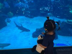 -成都浩海立方海洋公园