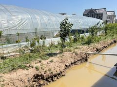 -妈妈的小作坊(陈家镇店)