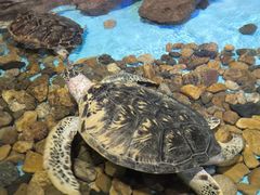 -波塞冬海底世界