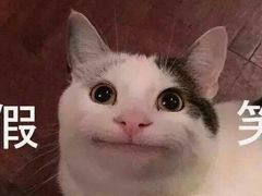 -廖哥泡椒兔(峨眉店)