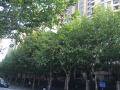 -威尔仕健身·游泳(中港汇店)