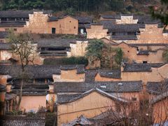 -杨家堂村