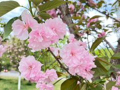 -眉山湿地公园(东坡区)